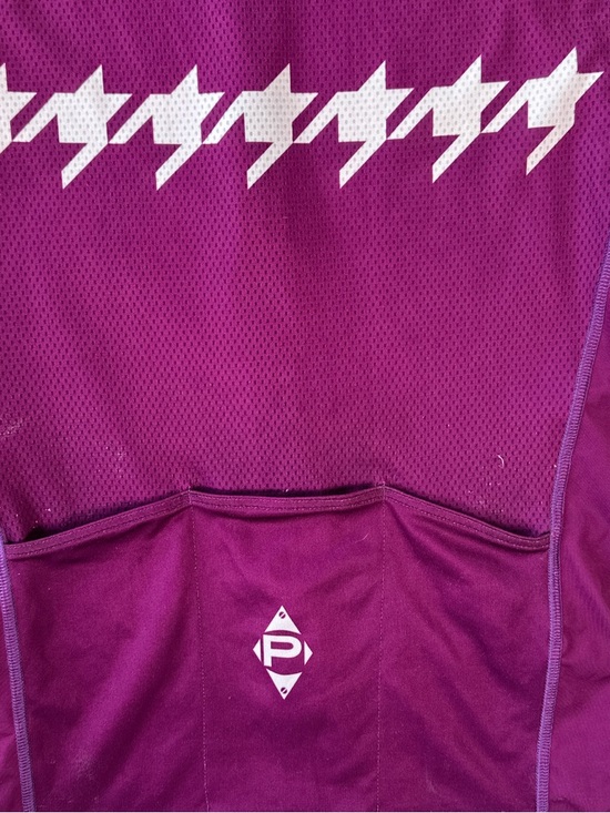 Panache Women Bike Cycling Jersey Purple Mesh 3 Pocket Full Zip Size M - Picture 4 of 12
